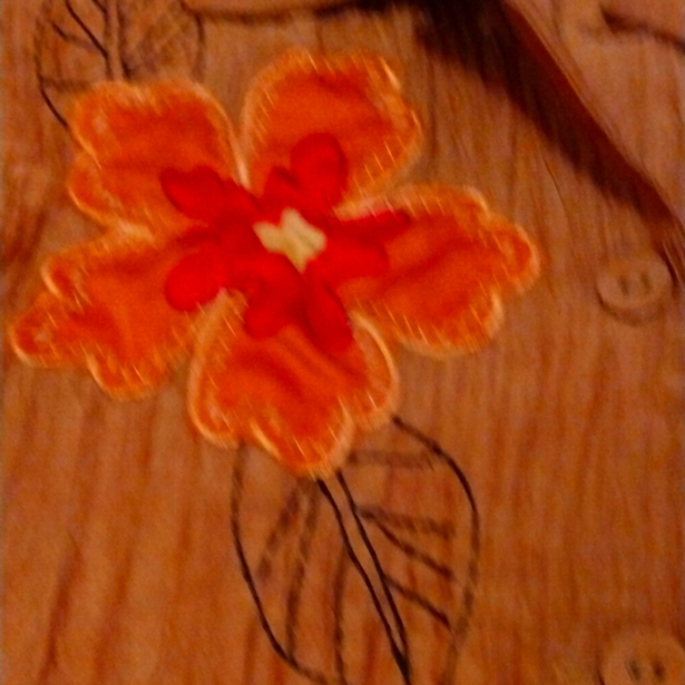 Fall Embroidered Button Down Shirt - Picture 7 of 8